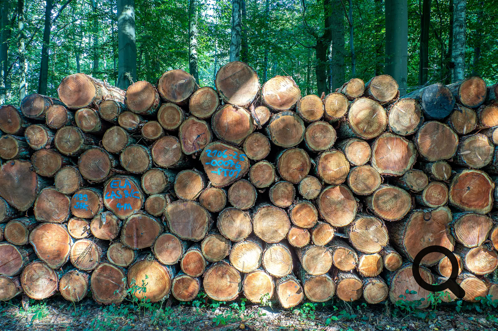 Holzstapel