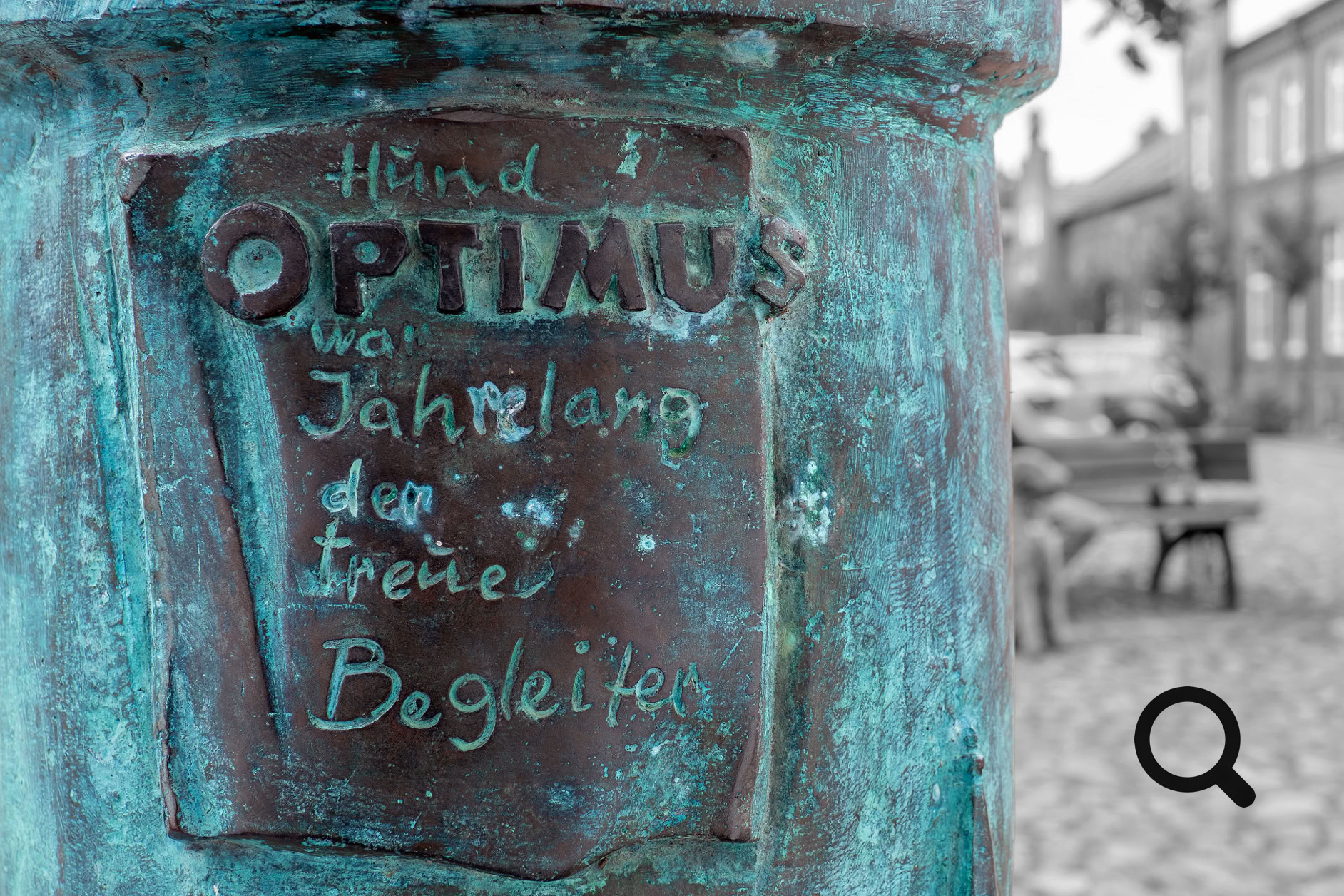 Hund Optimus, Begleiter von Olga von Oertzen