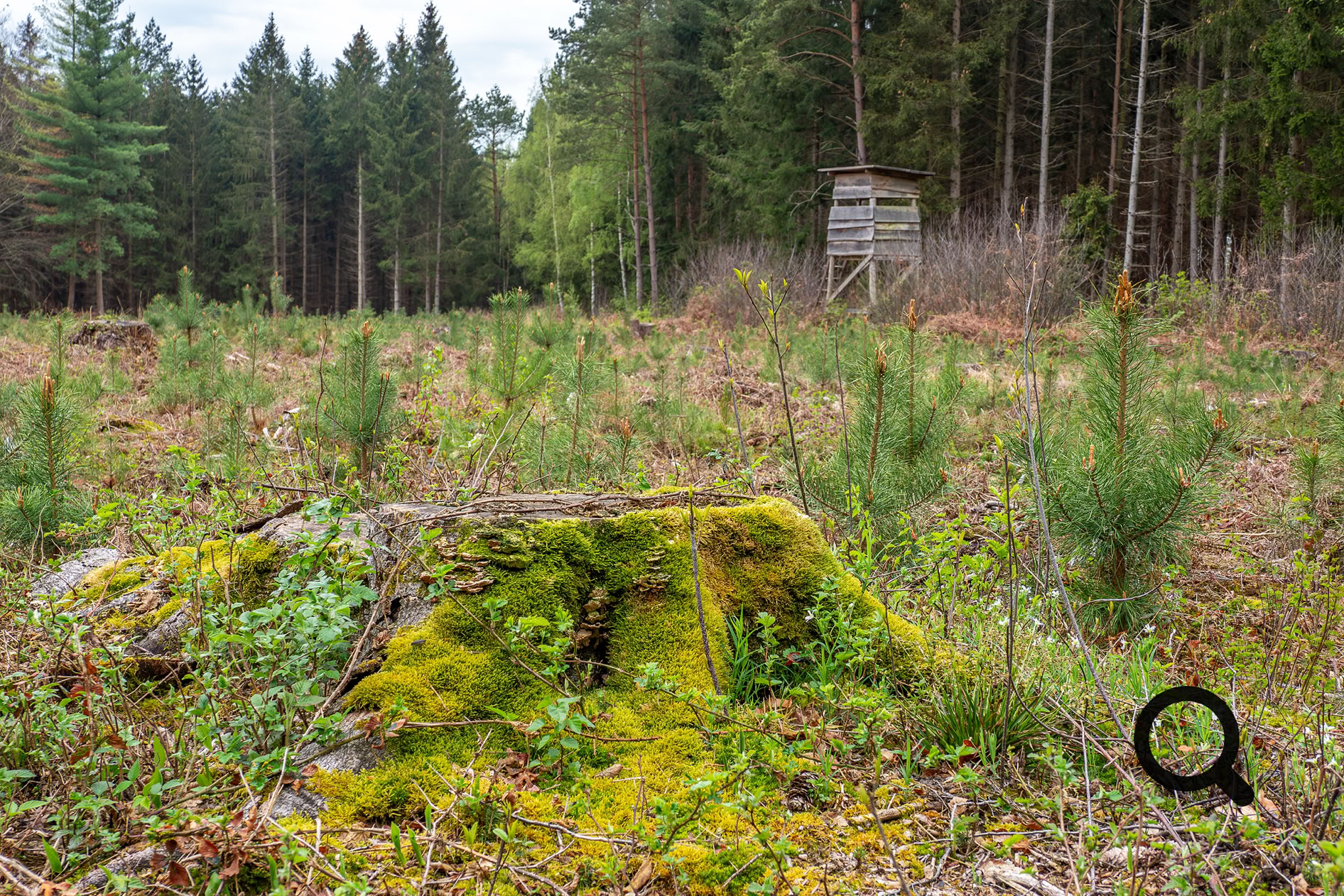Hochsitz, Jägersitz